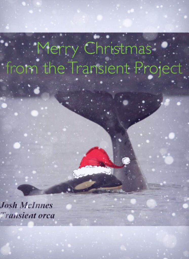 TKWResearch's tweet photo. Here's wishing you all a "whale" of a Christmas! #yyj #pnw http://t.co/dGawJYjYyd