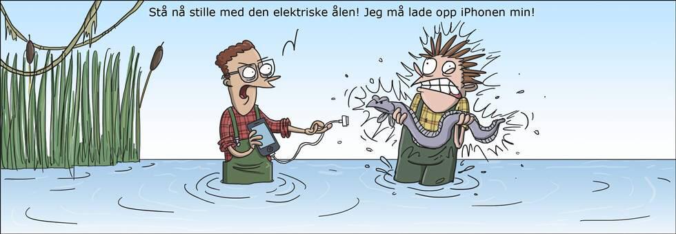 EKveit's tweet photo. Alle burde ha en elektrisk ål i stua. Iphone ladere produserer 5 volt, mens ålen produserer sjokk på opptil 500 volt. http://t.co/BURxFgh4MC