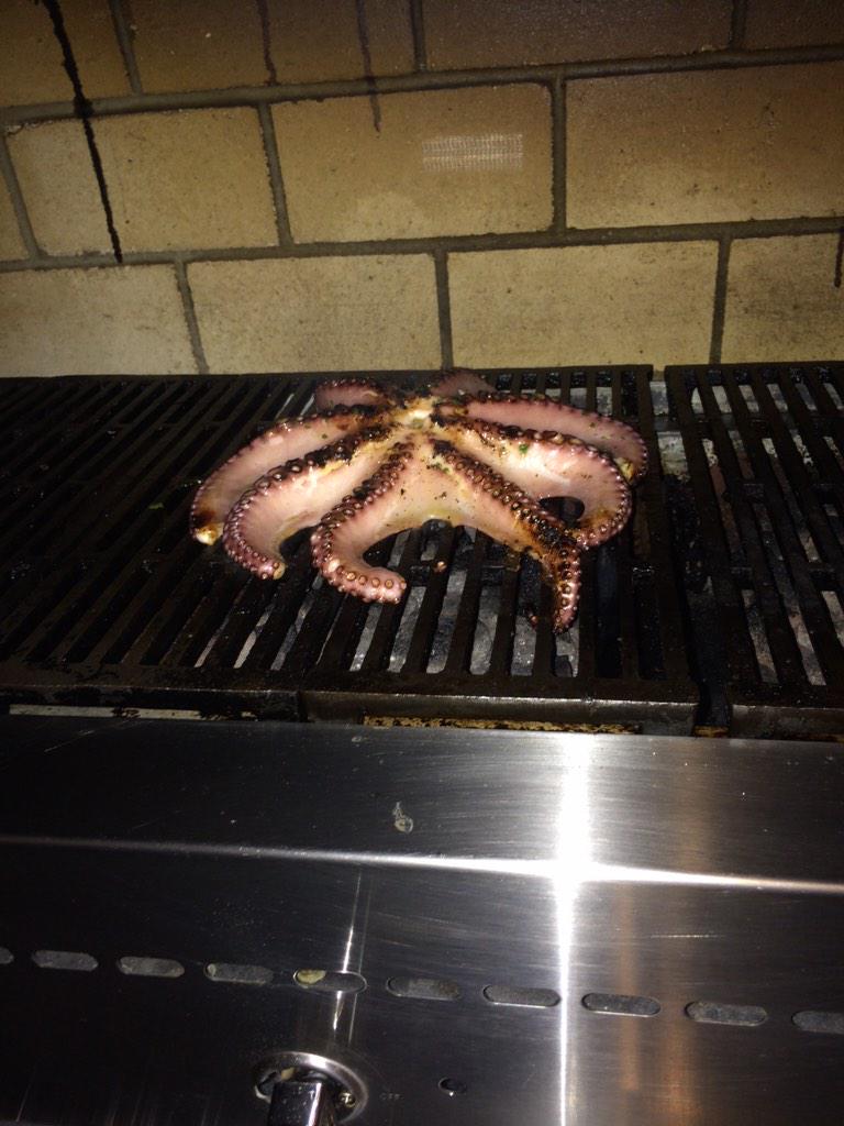 OneANDonly_DUKE's tweet photo. Even tho this is an Octopus...#RIPSquidward http://t.co/my3xw6Hm3S