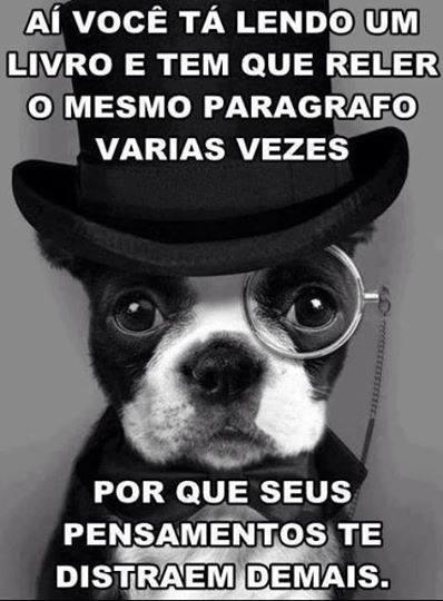 MariaAlice2000's tweet image. Kkkk