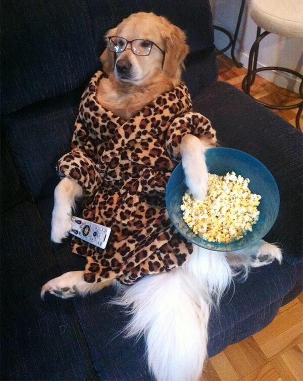 FunnyQuotees's tweet photo. My Christmas break described in a picture so far. http://t.co/o0FXKA78Y0