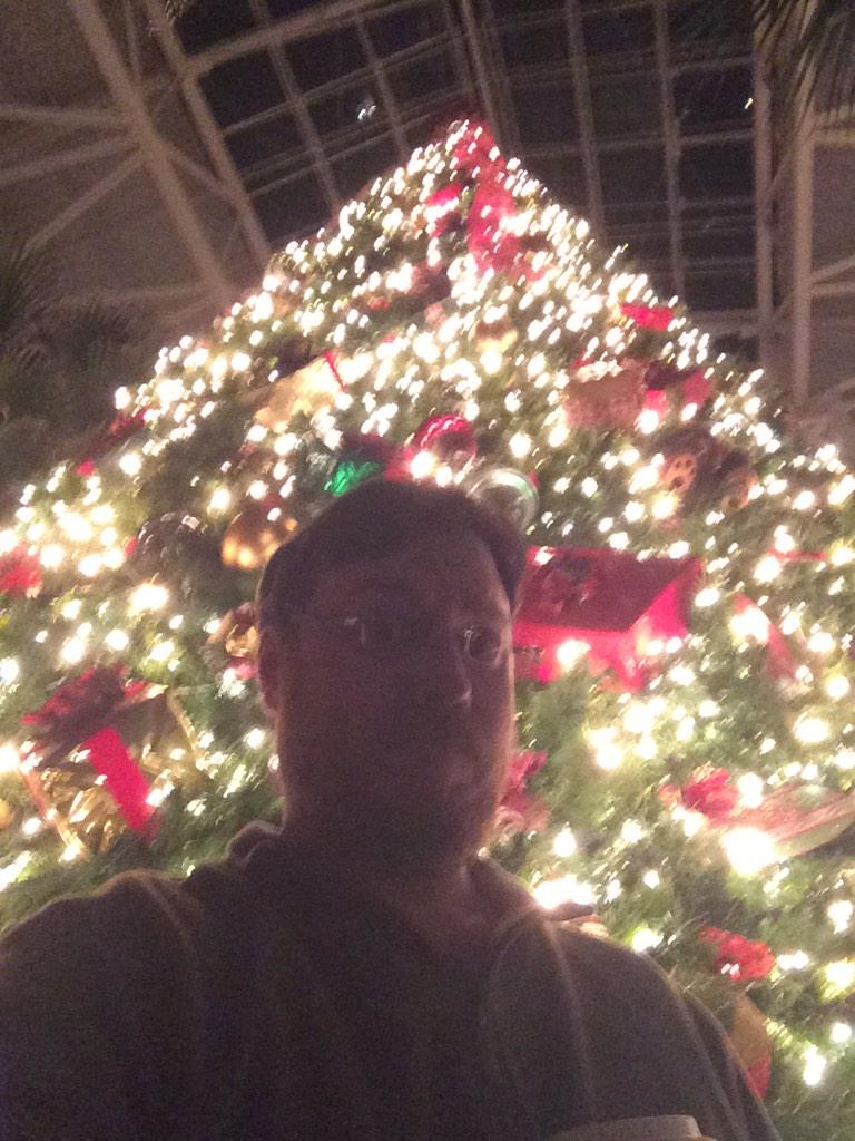 KeithMopar92's tweet image. Finally finished decorating my tree. #overdidit