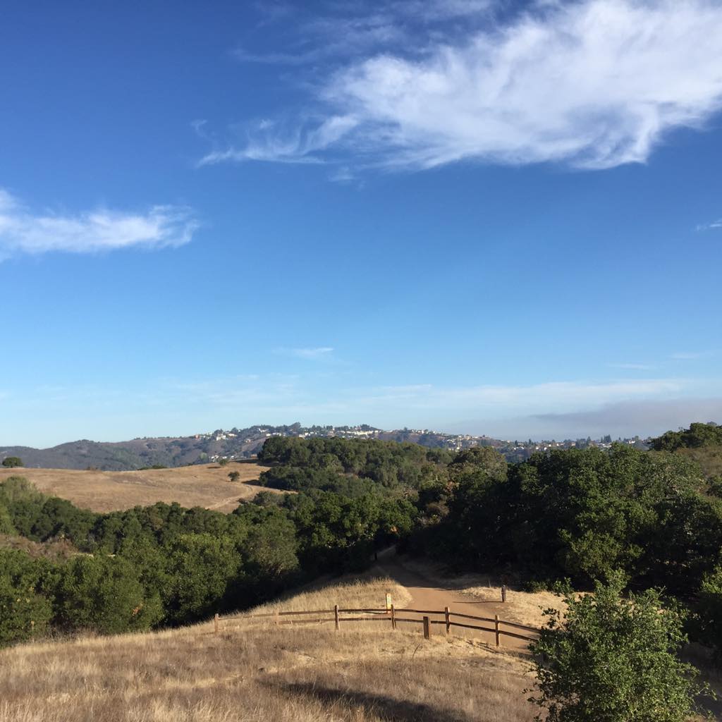 ThisRunningLife's tweet image. #SeeForYourself  #TNFContest