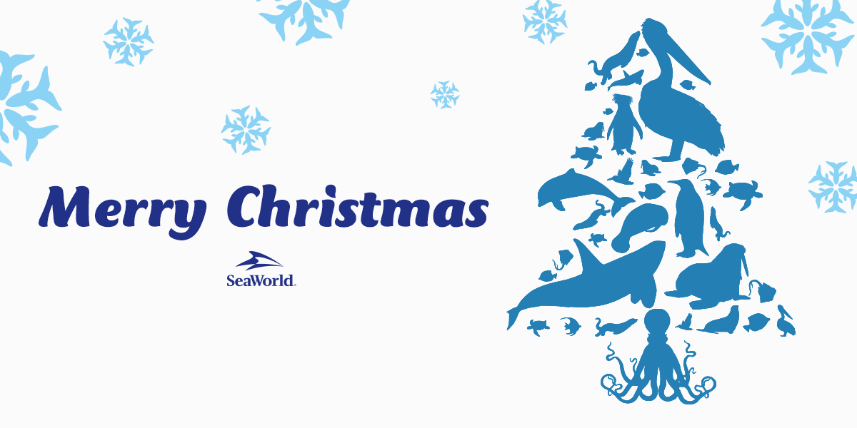 SeaWorld's tweet photo. RT to join us in thanking our teams caring for animals on Christmas Eve and wishing them a very #MerryChristmas! http://t.co/VHNwzy5JVy