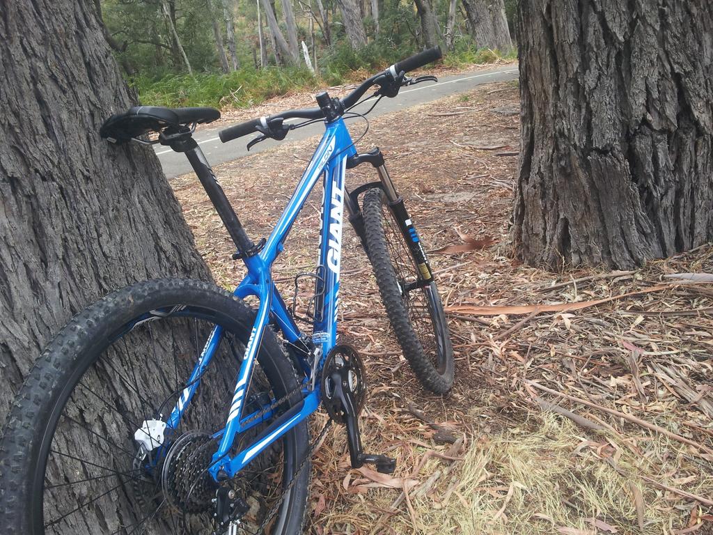 #temptingfate #notgerro (I hope)