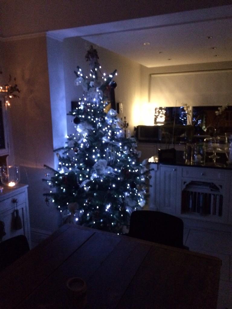 MrGunny1963's tweet photo. Merry Christmas! @AngusGunn01 &amp; @phoebehilton up already! Come on @SusanGunnArtist &amp; @mimigunn #presentime http://t.co/lthXh1G6FE