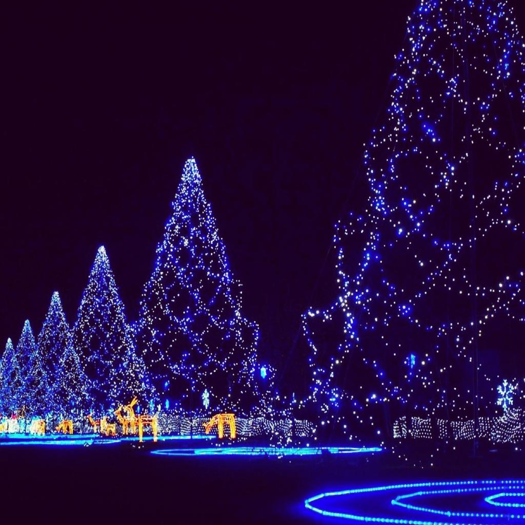 Recowest's tweet image. Merry Christmas Everyone.......