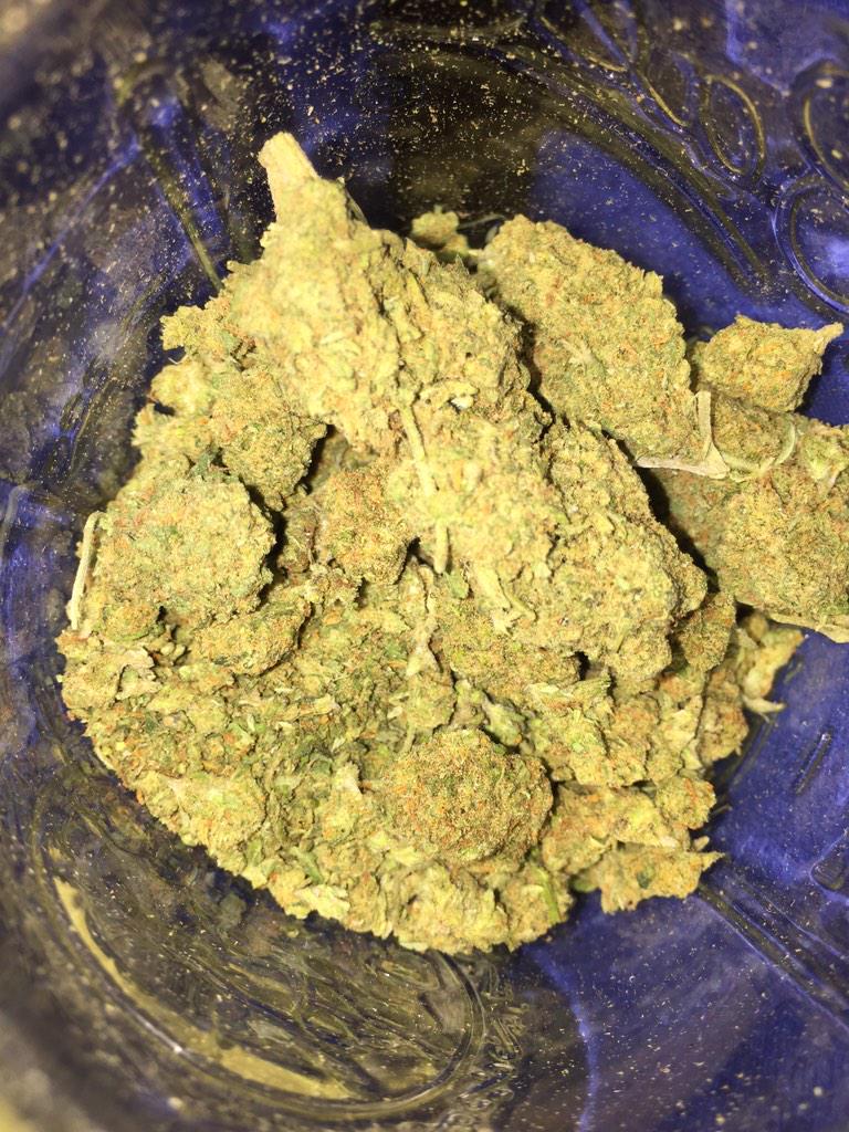 OneReincarnated's tweet photo. Merry Christmas to all my fellow stoners out there! Smoke some &amp; stay high #Stoners #highchristmas #christmas #kush http://t.co/3pZ5tyYDCH