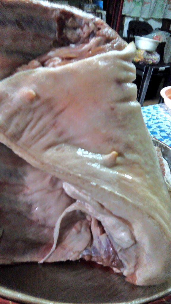 AnneJROA's tweet photo. My view right now #PigNipples http://t.co/7156hWsmYO