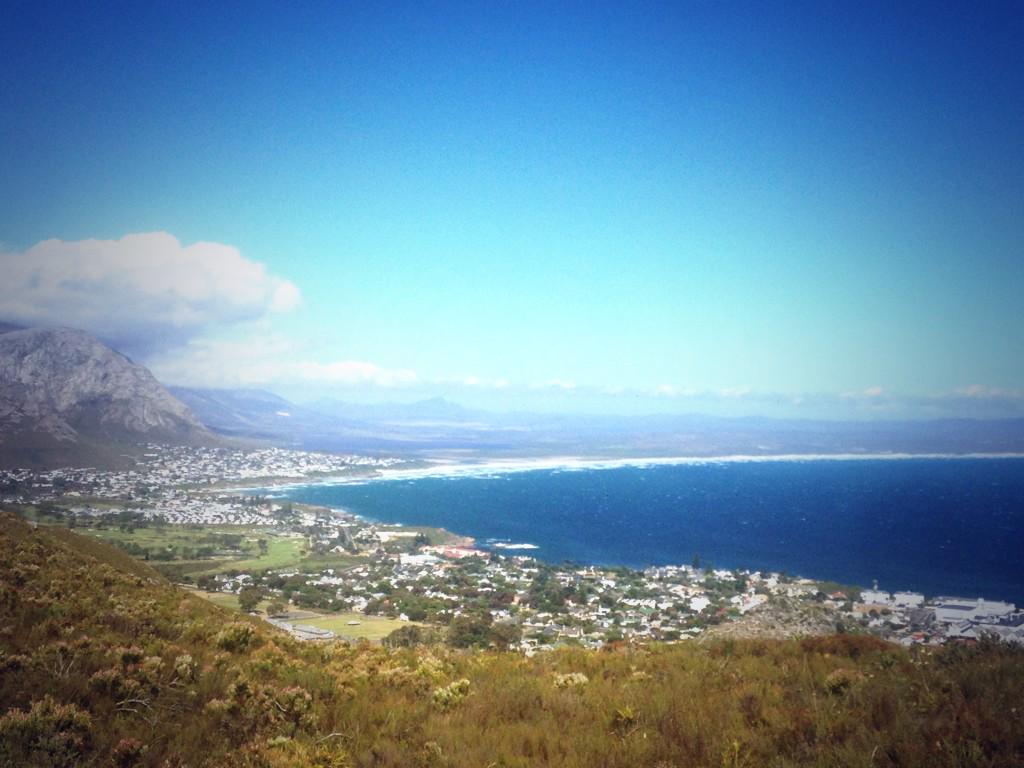bguidedSA's tweet photo. #festive500 -day 1 view http://t.co/P2fLC4922L