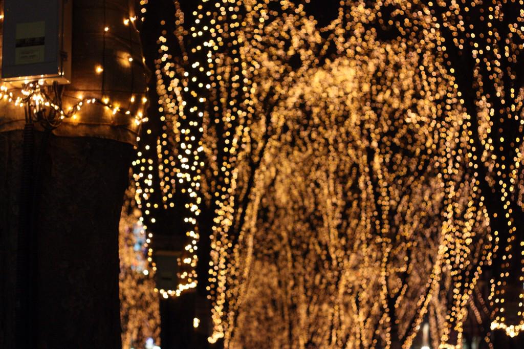 東北美学生地図 宮城 こちらは光のページェントです 60万個の電球に 一つだけあるピンクの電球を見つけたカップルは永遠の愛を約束される伝説があり 今年も あった という声が聞こえてきました モデルは尚絅学院大学のイケメンサンタの2人です