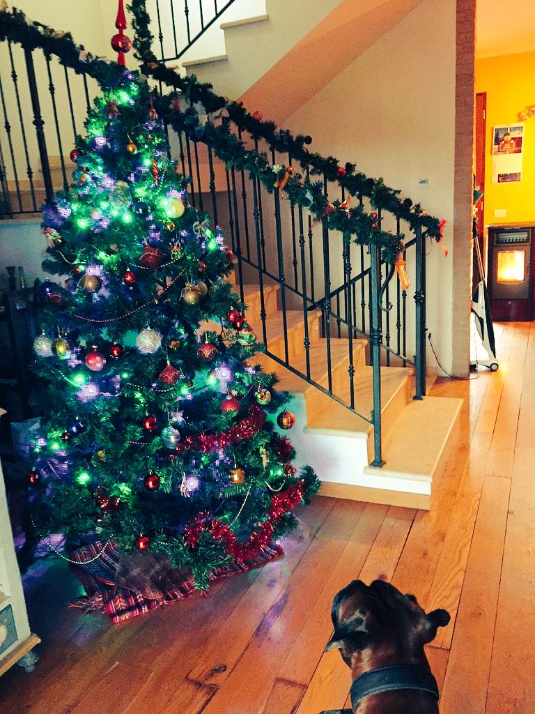 maviZani's tweet photo. Merry Christmas 🎅🎄🎊 http://t.co/h7CokTCjUF