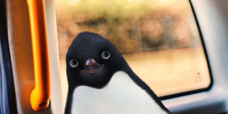 I didn’t go. I couldn’t go! I’m on my way to Monty’s now. I’m going to surprise him. #MontyThePenguin