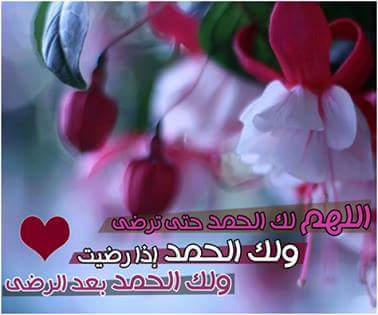 ee2964fa182b47e's tweet photo. http://t.co/wVBEEhEkGT