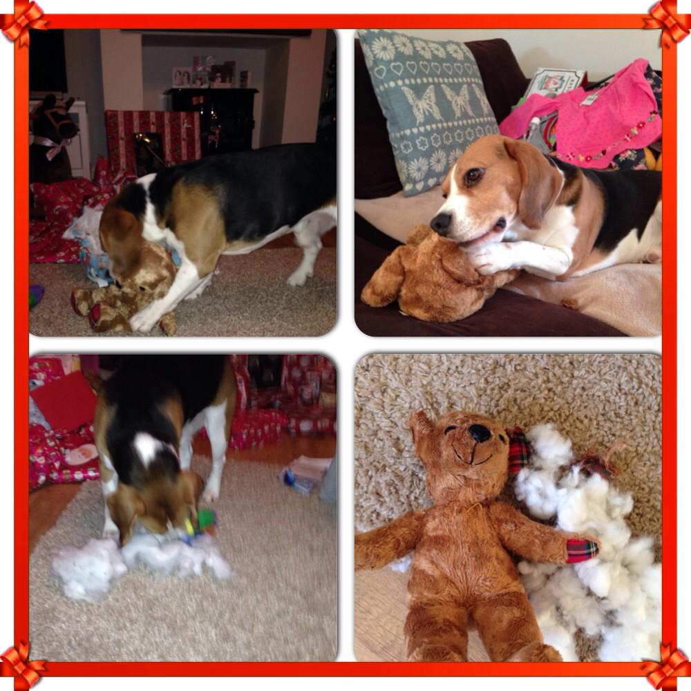 Merry Christmas everyone, I'm having a great morning!!! 🎄🎁🎅