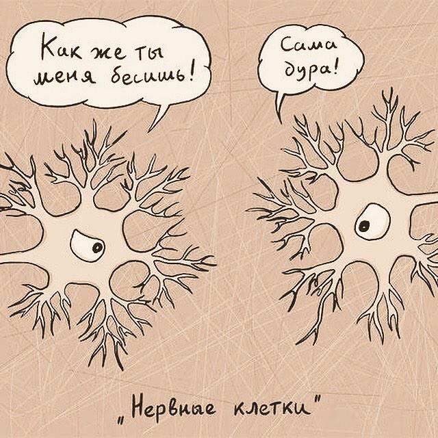 dawikeno's tweet photo. - Дорогая,не нервничай!Нервны�� клетки не восстанавливаются!
-Дорогой,не умничай!Зубы в твоем возрасте,тоже не растут. http://t.co/HvII83Cc1s