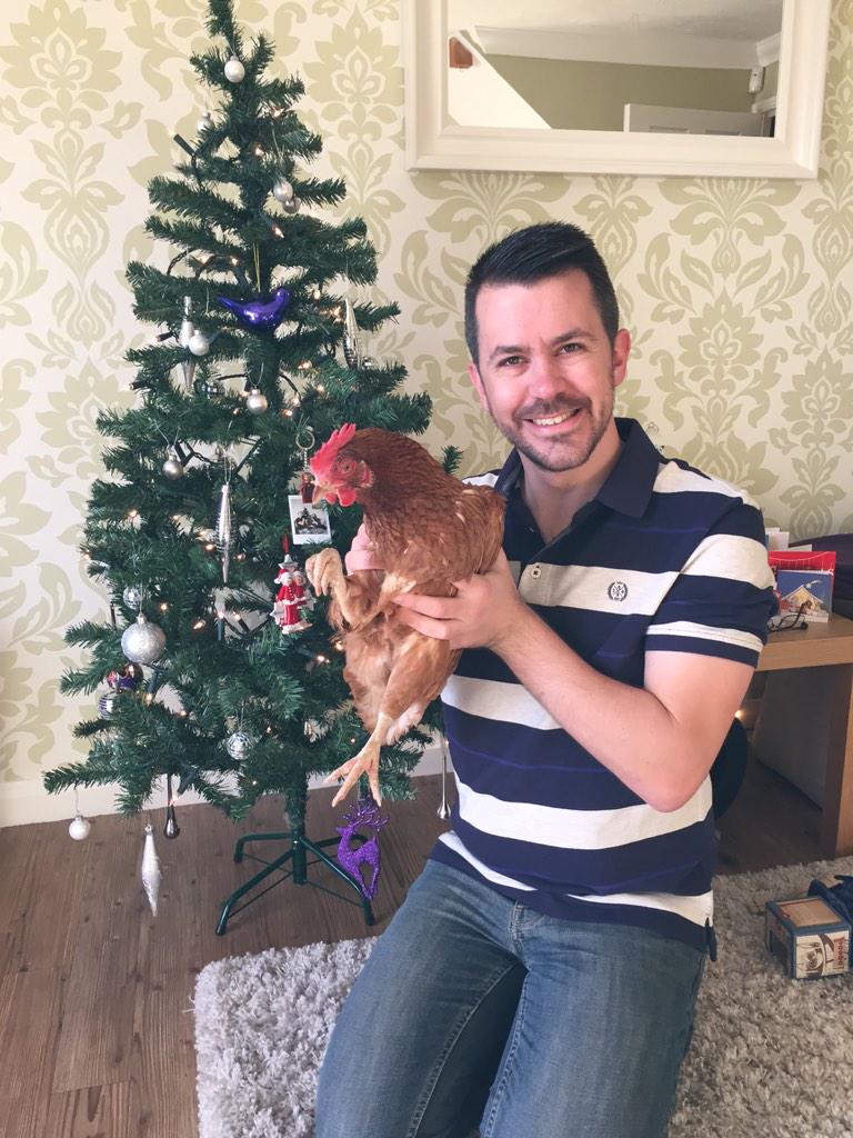 neville_styles's tweet photo. Merry Christmas to all our followers, I was lucky and was allowed in the human coop for once. Love Repecka x http://t.co/kidCuVd04P