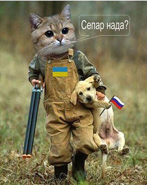Украина делает все, чтобы боевые действия не возобновлялись, - Лысенко - Цензор.НЕТ 9246