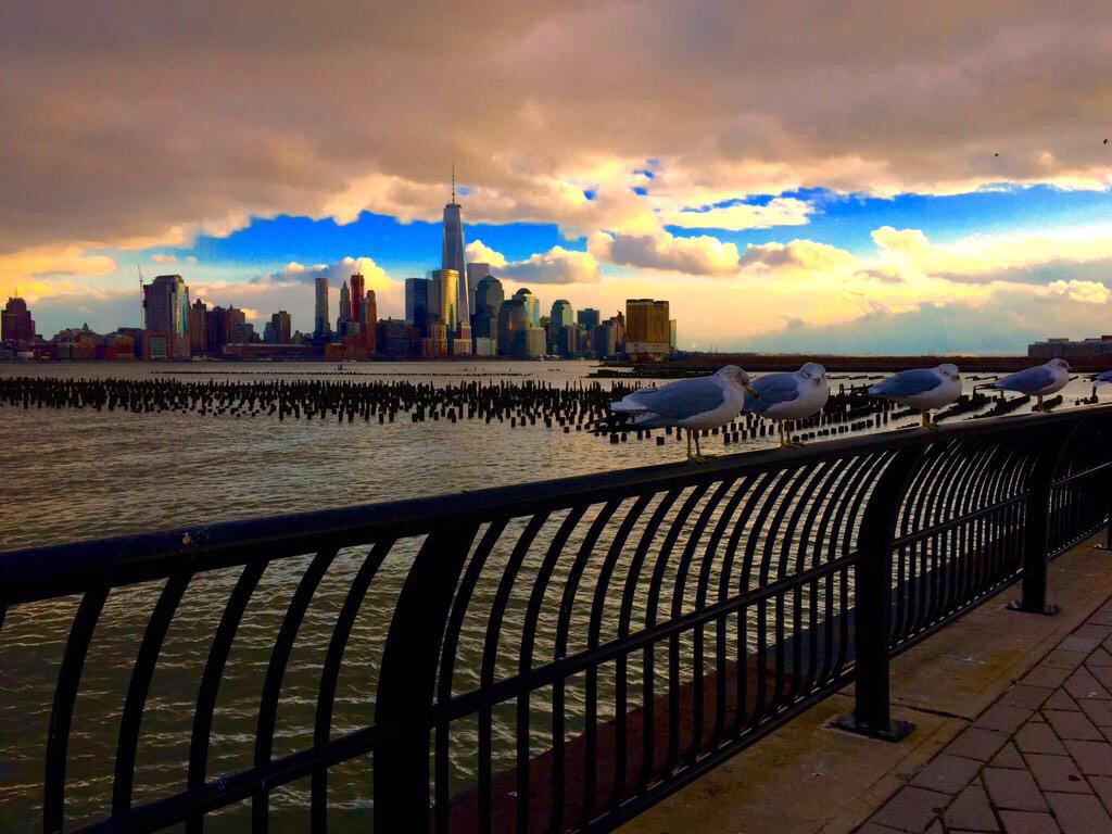 RinconesNY's tweet photo. Merry Christmas to all lovers of New York 🗽❤️🎅🎄 http://t.co/DPqa1xrGWh