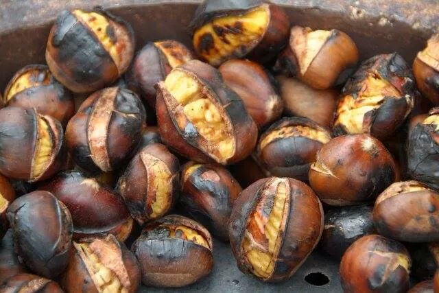 Bildresultat för peceni kesten