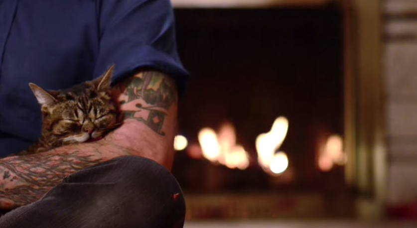 Embedded image permalink