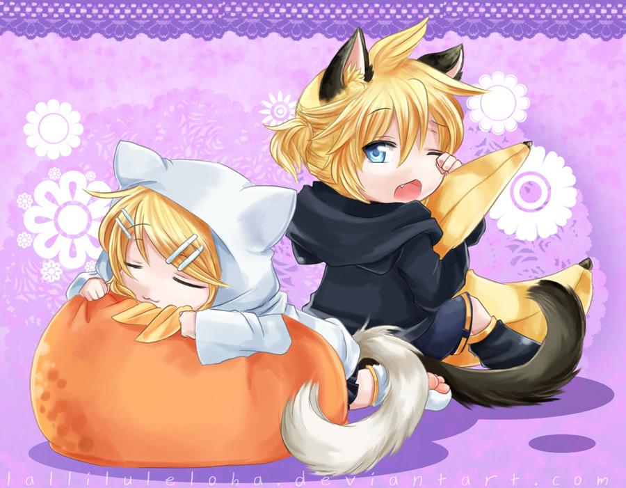 AnnaHanitz's tweet image. I like this picture. That is so cute