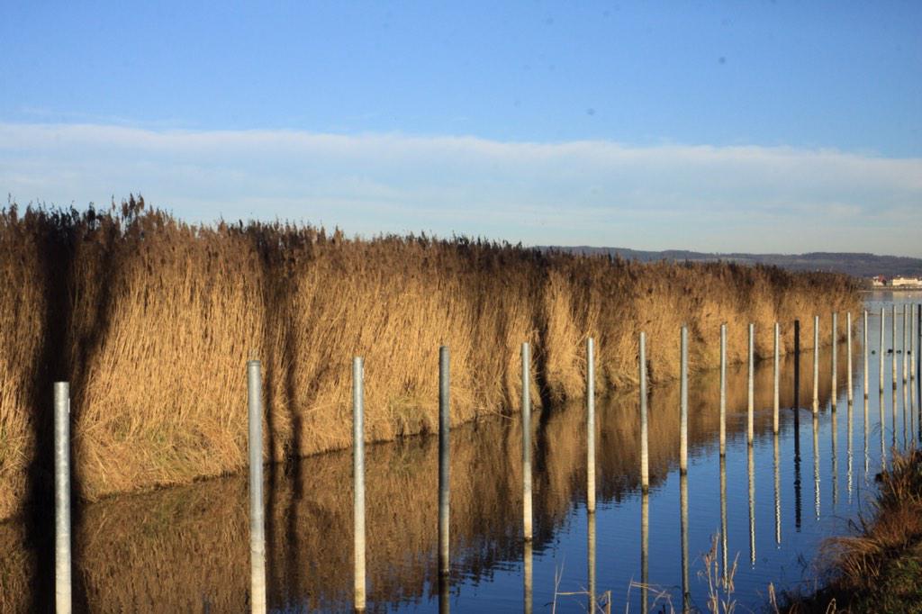 Christmas Time at the Lake - gorgeous