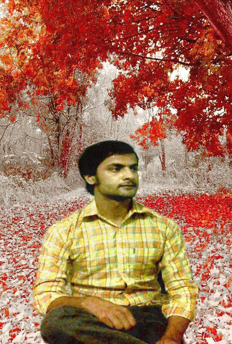 777Python's tweet image. 