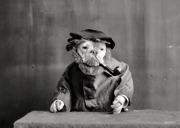 Embedded image permalink