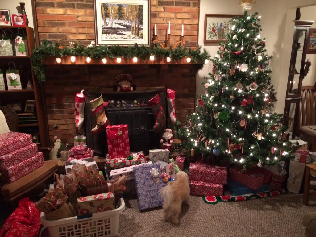 Abbearcat's tweet photo. Happy Festivus! http://t.co/t6CcfC0oNr