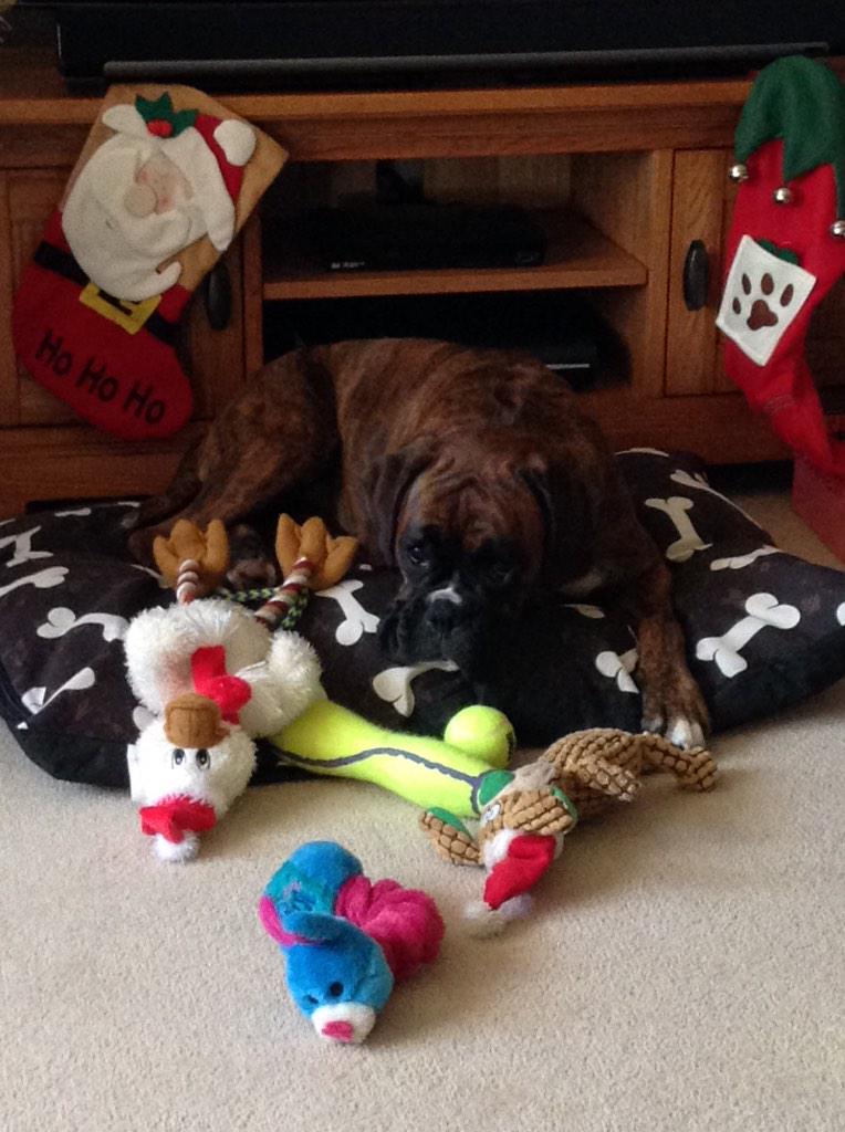 <a href="/LornaTReid/">Lorna Reid</a> Where is that Turkey mama, been waiting hours 🐾