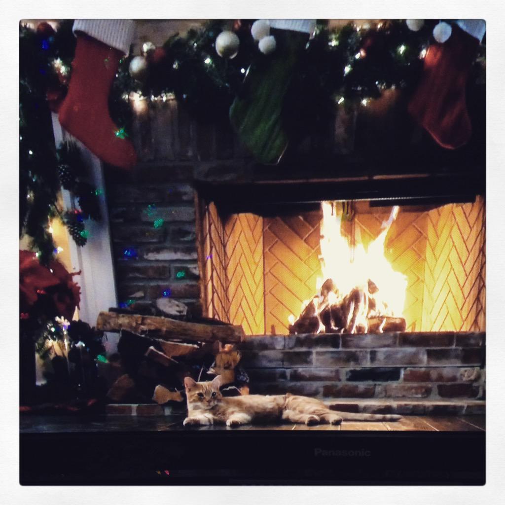 Iwasatypo On Twitter This Yule Log Tv Channel With A Cat Has