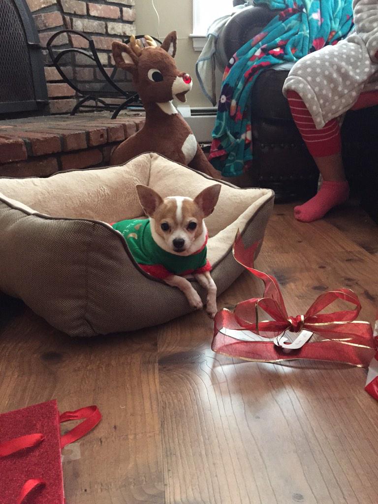 Really all I need is a glass of #champagne!