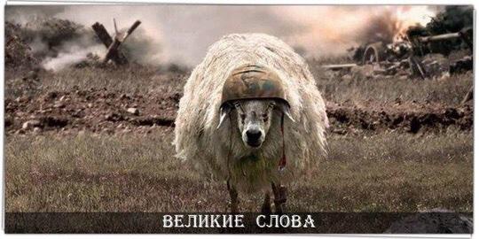 Войско баранов,возглавляемое львом, всегда одержит победу над войском львов,возглавляемых бараном.
#НаполеонБонапарт