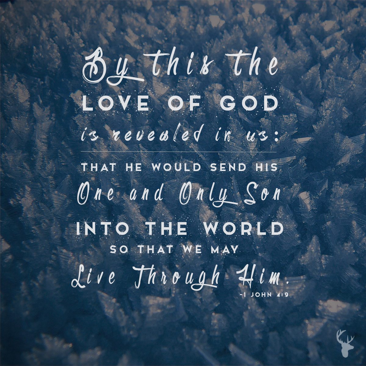bethelmusic's tweet photo. His birth brought new life, hope &amp; joy to the world. May you &amp; your loved ones be blessed. Merry Christmas! http://t.co/TrnpsQ6txV