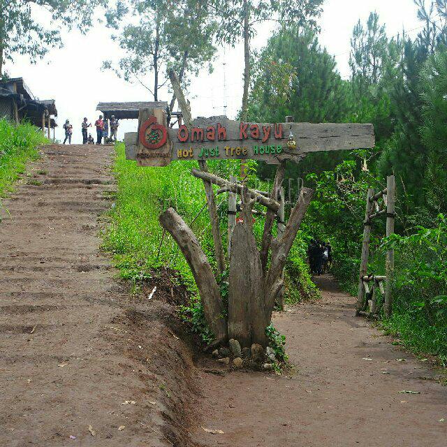 Destinasi Penting: Omah Kayu Batu – NengBiker Parking Only