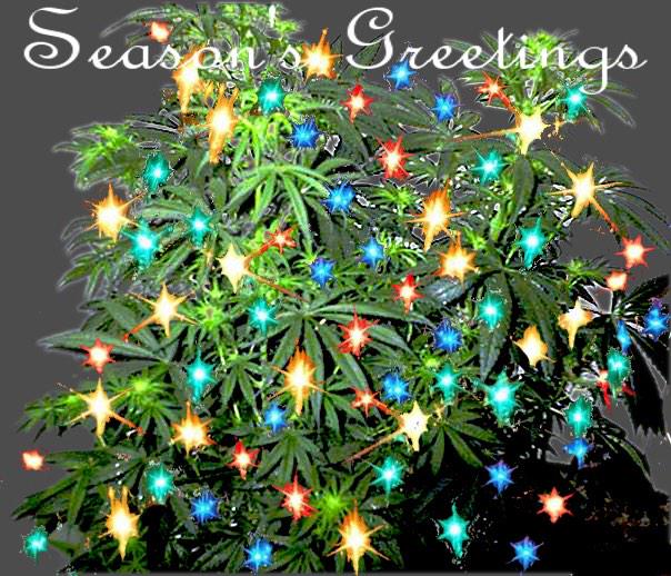 CannabisActivis's tweet photo. #MerryChristmas To All Have A Happy And Safe #Holiday Season! http://t.co/izBeLBULRd