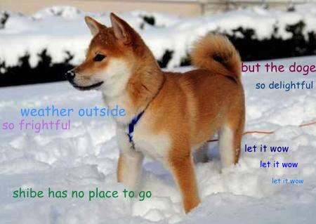 DogeTheDog's tweet photo. Wow
          Such snow
    Much carol
                So holiday spirit http://t.co/PLaFTm3cci