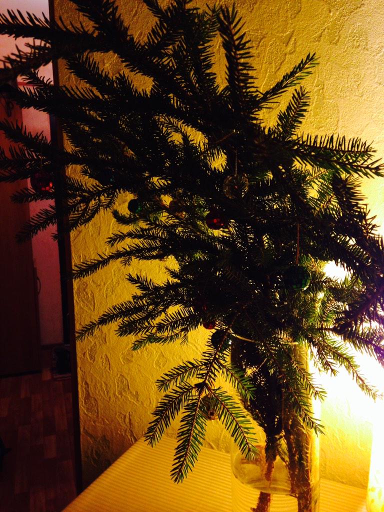 Первая самостоятельная елка