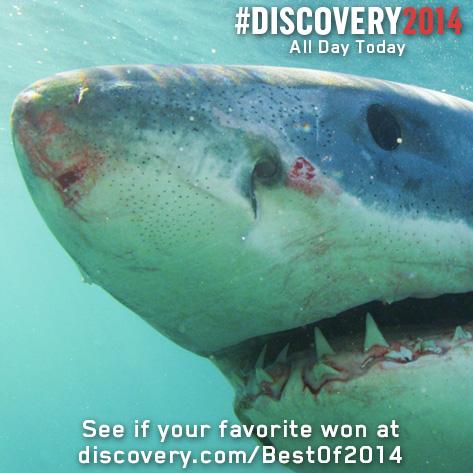 SharkWeek's tweet photo. See if your favorite @SharkWeek clip of the year won! → http://t.co/kLb071do9z #Discovery2014 http://t.co/9H7PdqQNlY