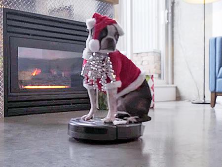 people's tweet photo. This video of a dog dressed as Santa riding a Roomba is awesome http://t.co/dPvIb3emBi http://t.co/KV9Vwrj9Ec