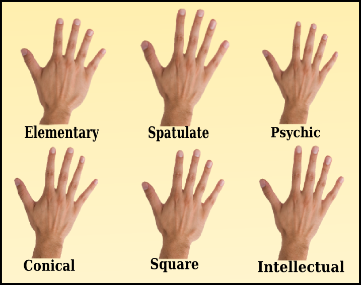 Palmistry Basics (palmistrybasics) Twitter