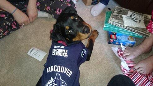 MorganMariee's tweet photo. @VanCanucks Bo Horvat, meet Bo, your biggest fan curtesy of @1_5_3_6_2_4 http://t.co/MYqrsJzzwG