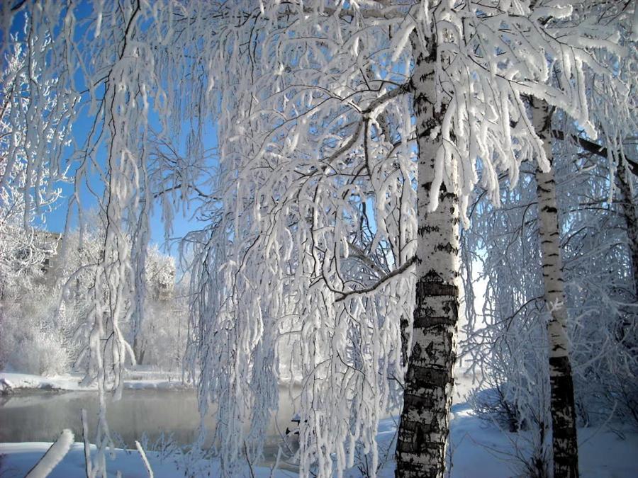 Синеокая уральская зима.))) #зима #красота #Россия