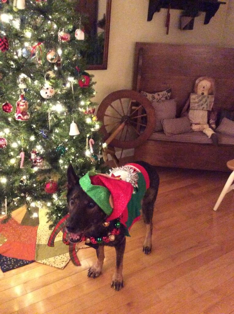 Did you get stuck with an #uglychristmasweater - not everyone can be this stylish!  #MerryChristmas