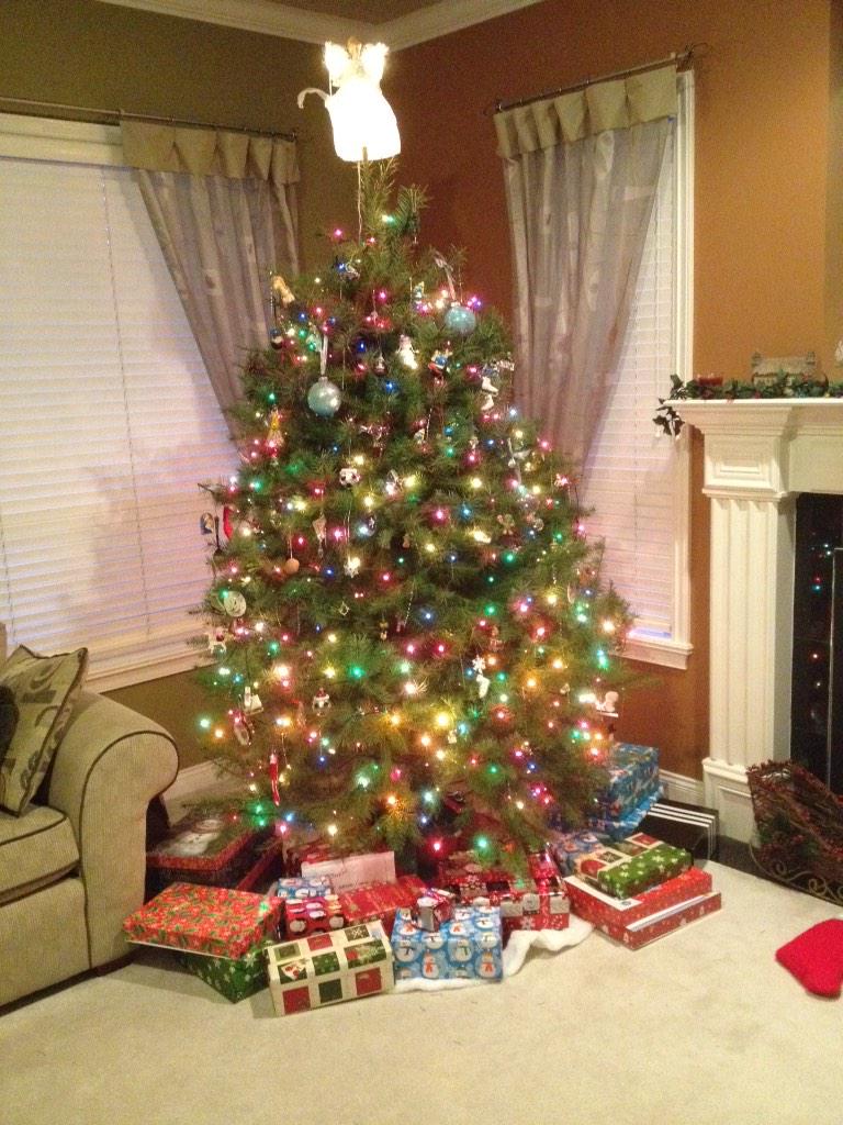 Merry Christmas from the Ellis family. Wishing you all a happy and healthy 2015.