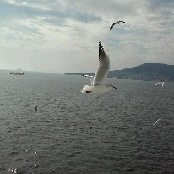 kasimselvi's tweet photo. Cumaniz mübarek olsun http://t.co/5IF1jTCiAq