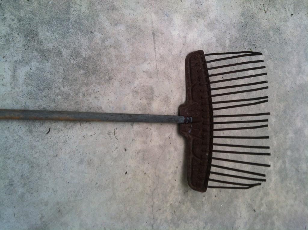 This rake has more snaggled teeth
than Shane MacGowan.
Happy Birthday! 