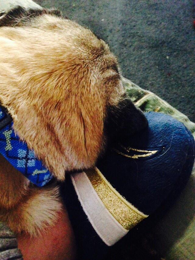 Nikki Sheaffer (@broccolibutt) on Twitter photo <a href="/PhilipRivers/">Philip Rivers</a> looks like he loves my new #chargers slippers just as much as I do ⚡️🏈⚡️🏈⚡️ <a href="/PhilipRivers/">Philip Rivers</a> looks like he loves my new #chargers slippers just as much as I do ⚡️🏈⚡️🏈⚡️