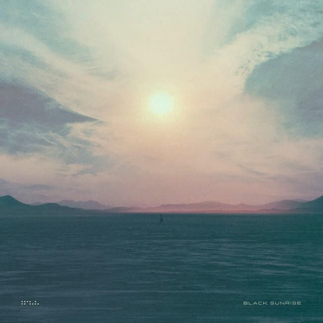 download nonlinear waves classical and